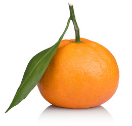 Similar image 7181374