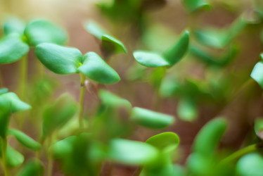 Similar image 7181414