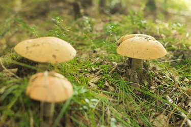 Similar image 7181446