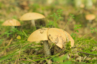 Similar image 7181447