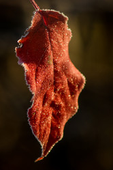 Similar image 7181460