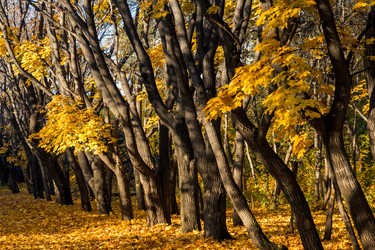 Similar image 7181463