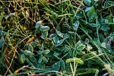 Similar image 7181465