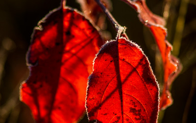 Similar image 7181467