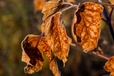 Similar image 7181468