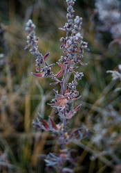 Similar image 7181469