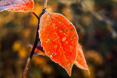 Similar image 7181471