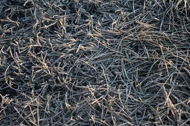 Similar image 7181474