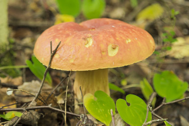 Similar image 7181475