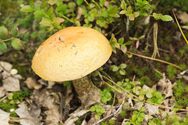 Similar image 7181476