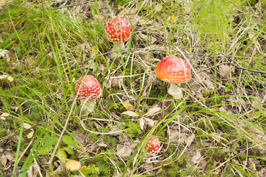 Similar image 7181478