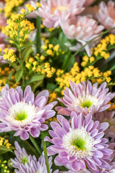 Similar image 7181481