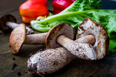 Similar image 7181500