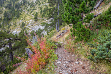 Similar image 7181529