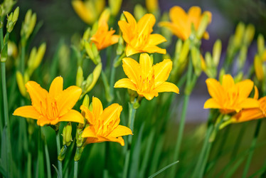 Similar image 7181612