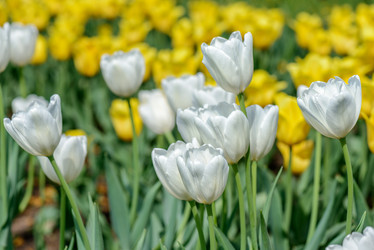 Similar image 7181616