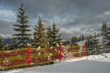 Similar image 7181624