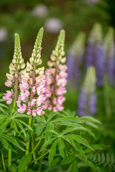 Similar image 7181627