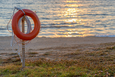 Similar image 7181628