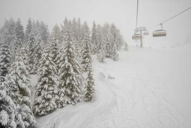 Similar image 7181631