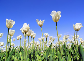 Similar image 7182225