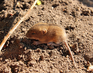 Similar image 7182271