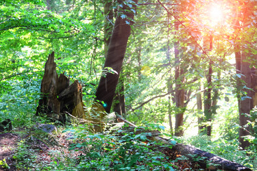 Similar image 7182665