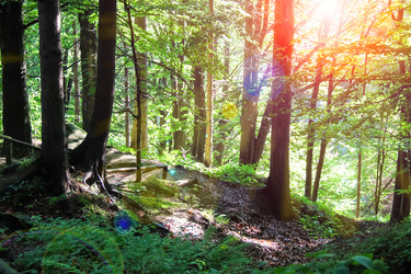 Similar image 7182676