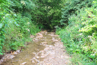 Similar image 7182677