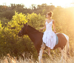 Similar image 7182865