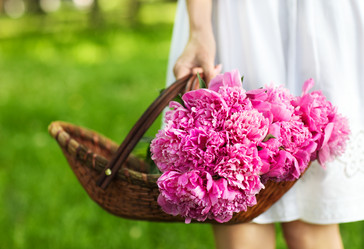 Similar image 7183187