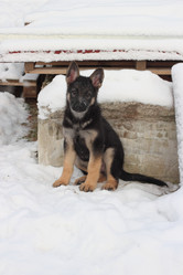 Similar image 7189943