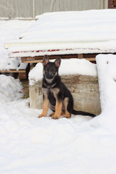 Similar image 7189944