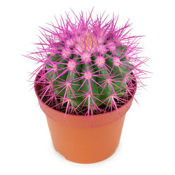 Similar image 7189960