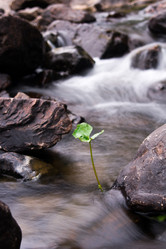 Similar image 7190099