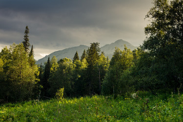 Similar image 7190147