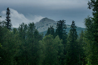 Similar image 7190148