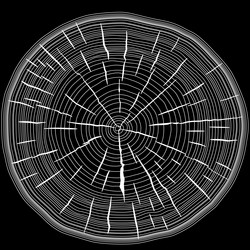 Similar image 7190434