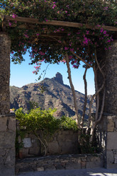 Similar image 7190468