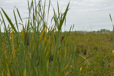 Similar image 7190682