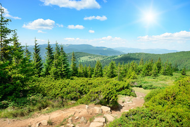 Similar image 7190731