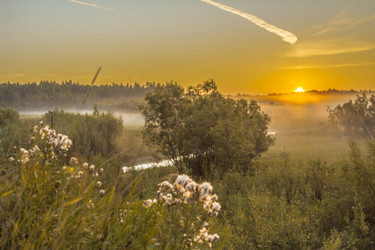 Similar image 7190876