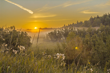 Similar image 7190894