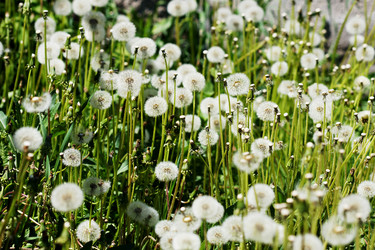 Similar image 7191283