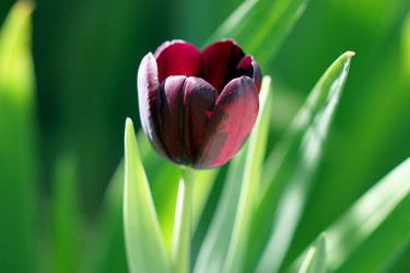 Similar image 7191284