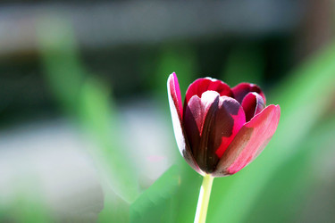 Similar image 7191285