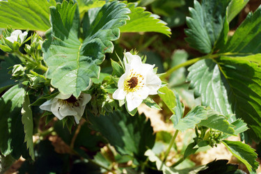 Similar image 7191287