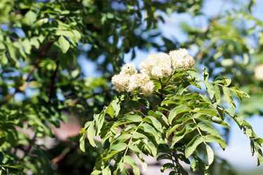 Similar image 7191288