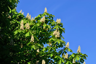 Similar image 7218298