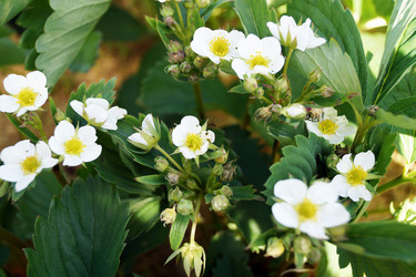 Similar image 7218316